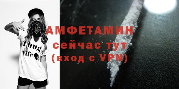 крисы Коряжма