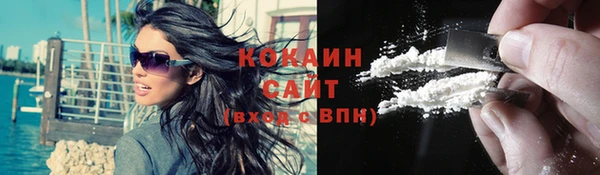 крисы Коряжма