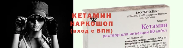 крисы Коряжма