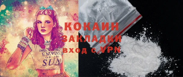 крисы Коряжма