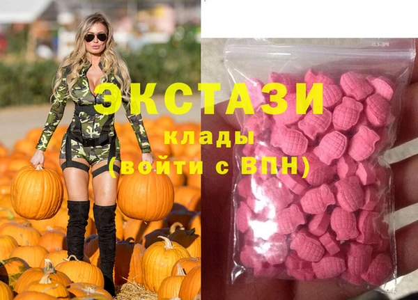 крисы Коряжма