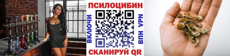 Галлюциногенные грибы Psilocybine cubensis  Купить закладки  Курган 